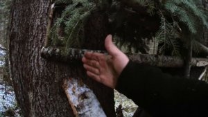 Промысел 2020-2021*Охота на Соболя*Мини кулема ОЧЕНЬ УЛОВИСТАЯ ЛОВУШКА*