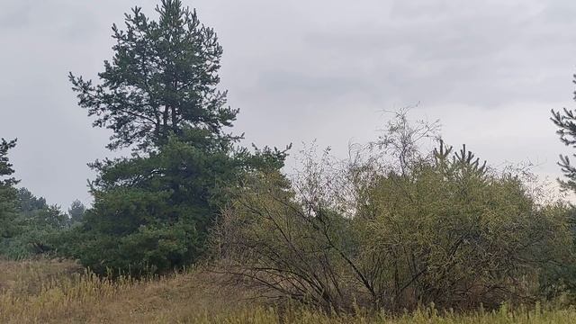 19 октября праздник Фомин день. Фома Неверующий. Главные правила и запреты дня. Именинники дня.
