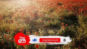 В Эти Дни Недели Рождаются Самые Счастливые Люди!