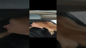 Утро, сломанный брелок и больное горло