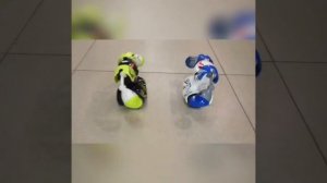 Silverlit Боевые роботы "Робокомбат"