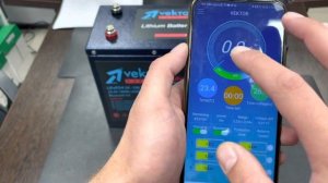 Аккумулятор Vektor Energy LFP 24-100 (Управление со смартфона, дистанционный мониторинг)