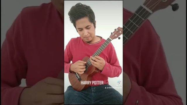 Harry Potter in Ukulele.  #fingerstyle #music #harrypotter #english #johnwilliams