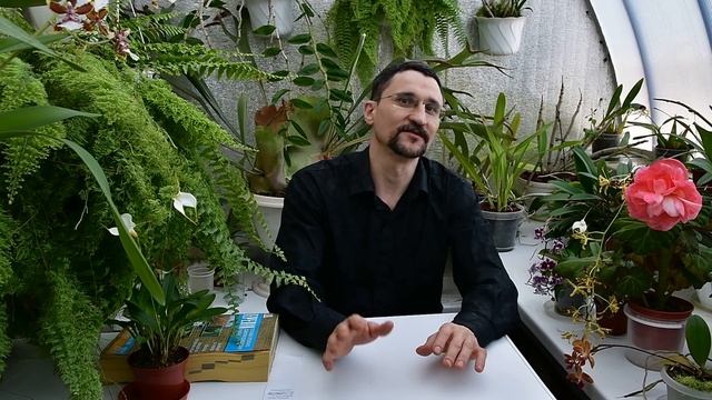 О фунгицидах. Целесообразность профилактических плановых обработок растений.