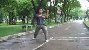 Хун гар - www.taishe.ru - Тао гун и покорение тигра (Le Long)