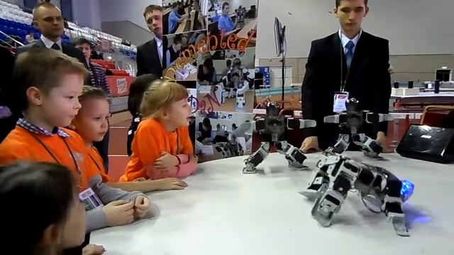 РОБОФЕСТУРАЛ 2015. Суперский танец настоящих роботов смотреть онлайн