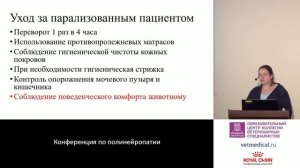 Юнкина А. А. - Реабилитация пациентов с тетрапарезом. Или самая важная часть «лечения» при ПРН..mp4