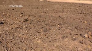 Сапропель с доставкой на участок.  Сапропель – Ил или Рыбий навоз.