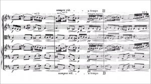 J.S Bach - O Mensch, bewein dein Sünde groß, BWV 622 (arr, string orchestra, Max Reger)