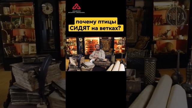 Почему птицы СИДЯТ на ветвях? #сундаков #крамола #этимология #буквица