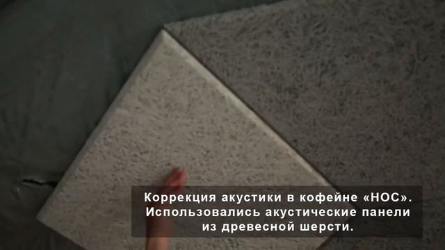 Проакустик. Звукоизоляция и акустический дизайн помещений смотреть онлайн