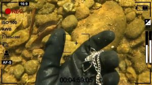 Нашёл на дне настоящие древние сокровища!!! ?