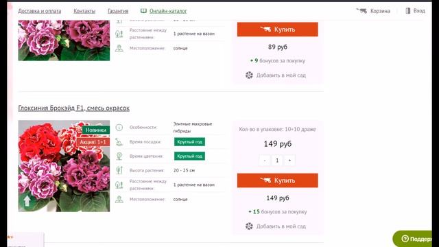 Где купить глоксинии? глоксинии купить почтой
