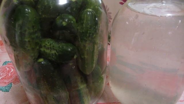 Как солить огурцы на зиму с горчицей. смотреть онлайн