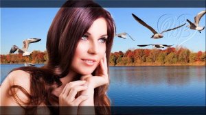 ПЕРЕЛЕТНАЯ ПТИЦА ♥ КРАСИВЫЕ ПЕСНИ О ЛЮБВИ ♥ РУССКАЯ МУЗЫКА ♥ WLV ♥ NEW SONGS and RUSSIAN MUSIC HITS