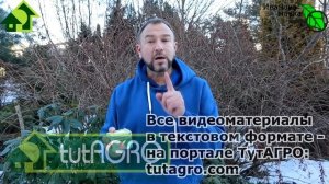 ПОЛЕЧИЛИ СЕБЯ - ПОМОГИТЕ И РАСТЮХАМ. Биопрепараты из... АПТЕКИ! Ветом, споробактерин, биоспорин...