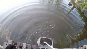 ПОДГОТОВКА К РЫБАЛКЕ. ДОБЫЧА МОТЫЛЯ В АПРЕЛЕ.