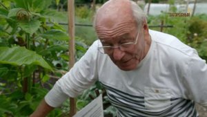 Тизер. Мировой садовод.