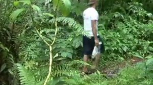 Hiking In Dominica - The Beautiful Waitukubuli Hiking Trail