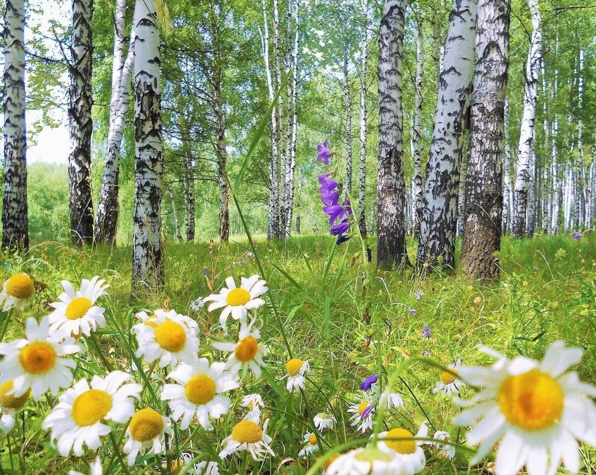 Замуж
