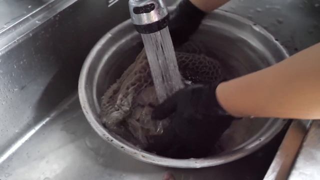 평일 저녁에도 웨이팅 장난없는 곱창집? 당일 도축한 소와 마늘로 만든 역대급 소곱창 막창 Beef intestines korean street food