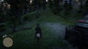 Red Dead ONLINE как найти ездового ишака"осла" в РДР2 как получить осла