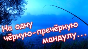 Рыбалка на спиннинг в начале сентября на верхней Москва-реке