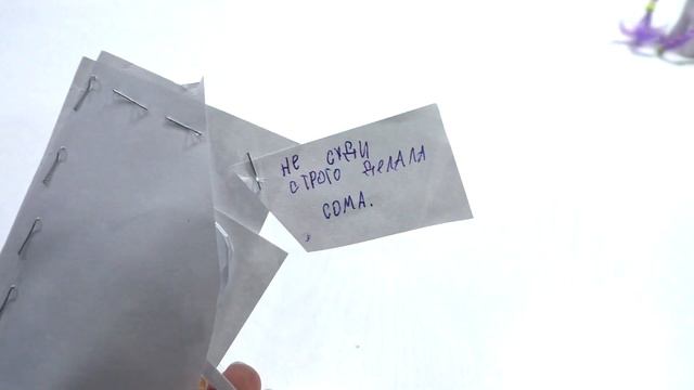 Время писем Выпуск 34 видео МЛП смотреть онлайн