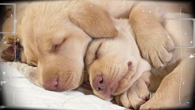 Оригинальное Пожелание! Добрый Вечер!Спокойной Ночи!