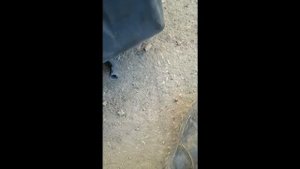 Снятие автономки МАН ТГА D4S