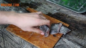 Уха из сома как приготовить в казане | Сatfish soup VKAZANE