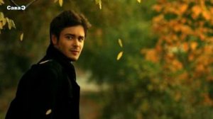 Дворовая песня под гитару. Не надо, не надо.