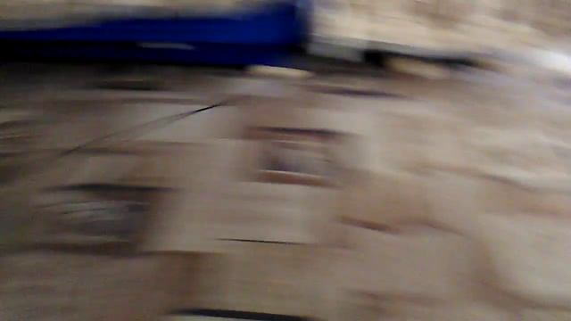 Гигантский змей в доме смотреть онлайн