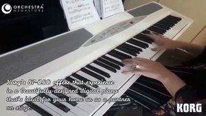 KORG SP 280 - DIGITAL PIANO