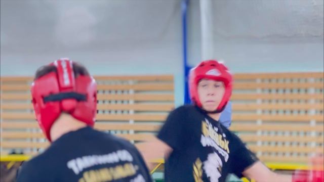 Партия