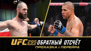 UFC 295: Обратный отсчет - Прохазка vs Перейра