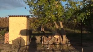 Рыбалка на базе в Астраханской области