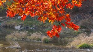 Какая рыба хорошо клюет в октябре? На что клюет рыба в октябре?Какая рыба не клюет в октябре?