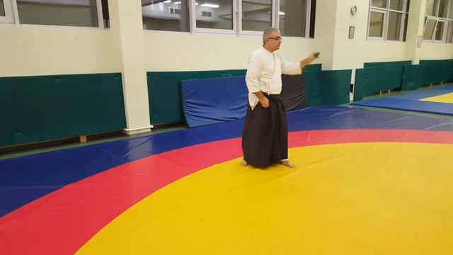 11| Reishinin ryu Aikijutsu 2020 | 8 kyu | jo waza | rojin kata | kayak kata