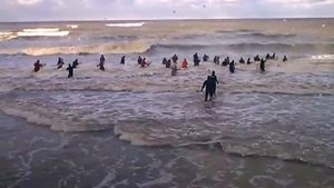 Ловля янтаря зимой в море Калининградская область