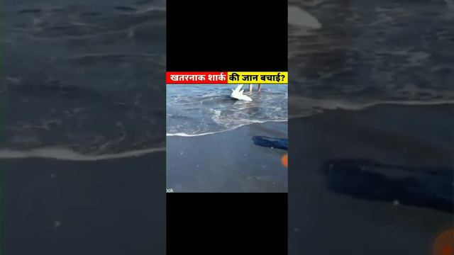 Kind hearted person. смотреть онлайн