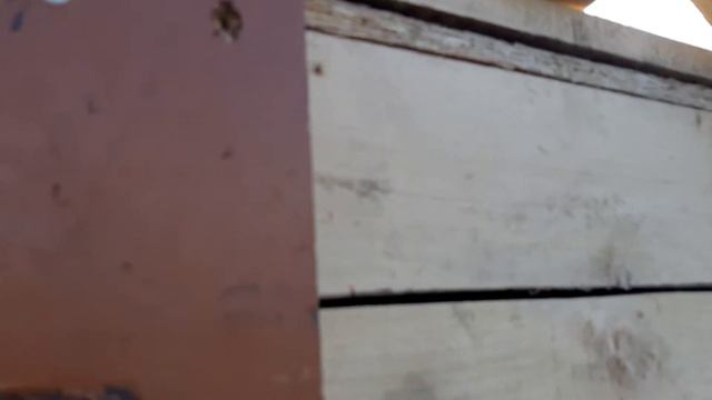 Сплав по Иртышу 1.08.2020 смотреть онлайн