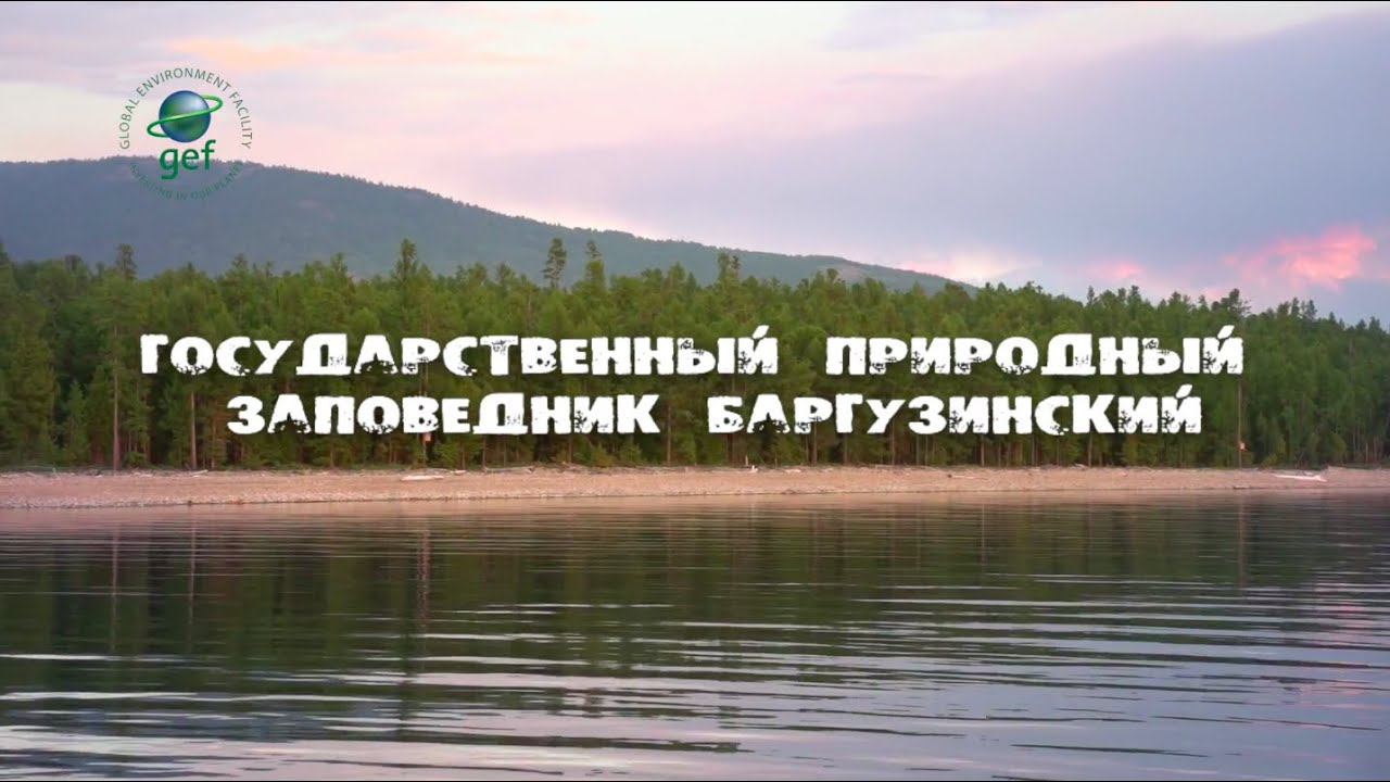 «Заповедное ожерелье Байкала». Баргузинский заповедник