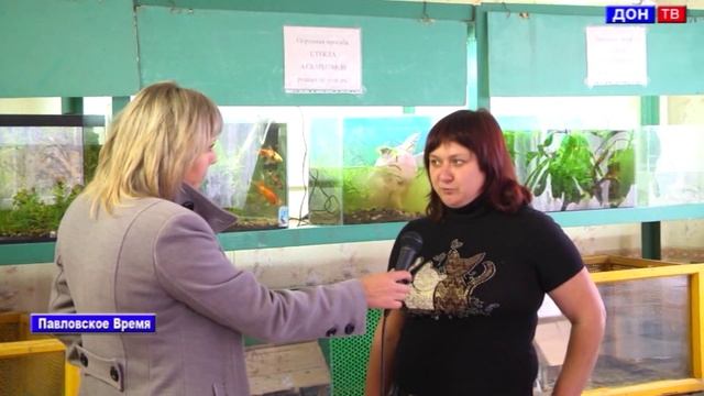 СЮН - больша семья животных. смотреть онлайн