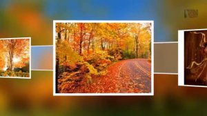 Супер песня Моя Чужая Новинка Исп Я Сумишевский