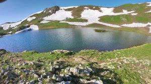 Учет зубра Умпырьская долина 2024