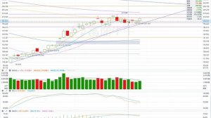 TSLA 特斯拉 股票价格走势的分析 2023年02月28日（第371期） #Tesla #K线技术分析