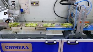 Автоматическая линия по наполнению и упаковке свеженарезанной мытой зелени и салатов