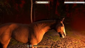 Kingdom Come: Deliverance Прохождение #14 Игра с дьяволом