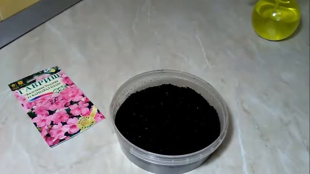 Бальзамин Уоллера посев семян. Март 2017 смотреть онлайн